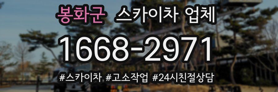 봉화군 스카이차 업체