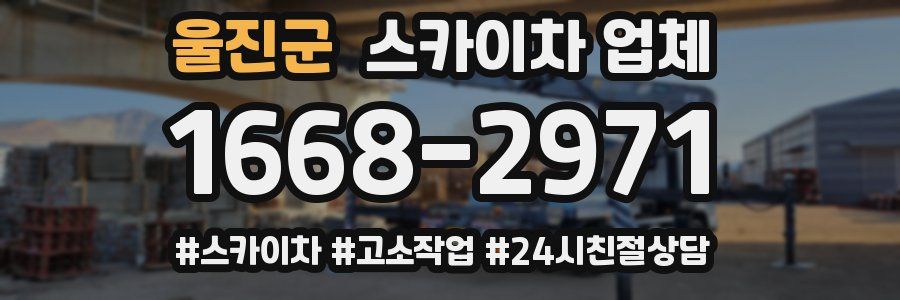 울진군 스카이차 업체