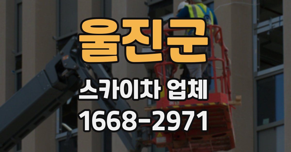 울진군 스카이차 업체