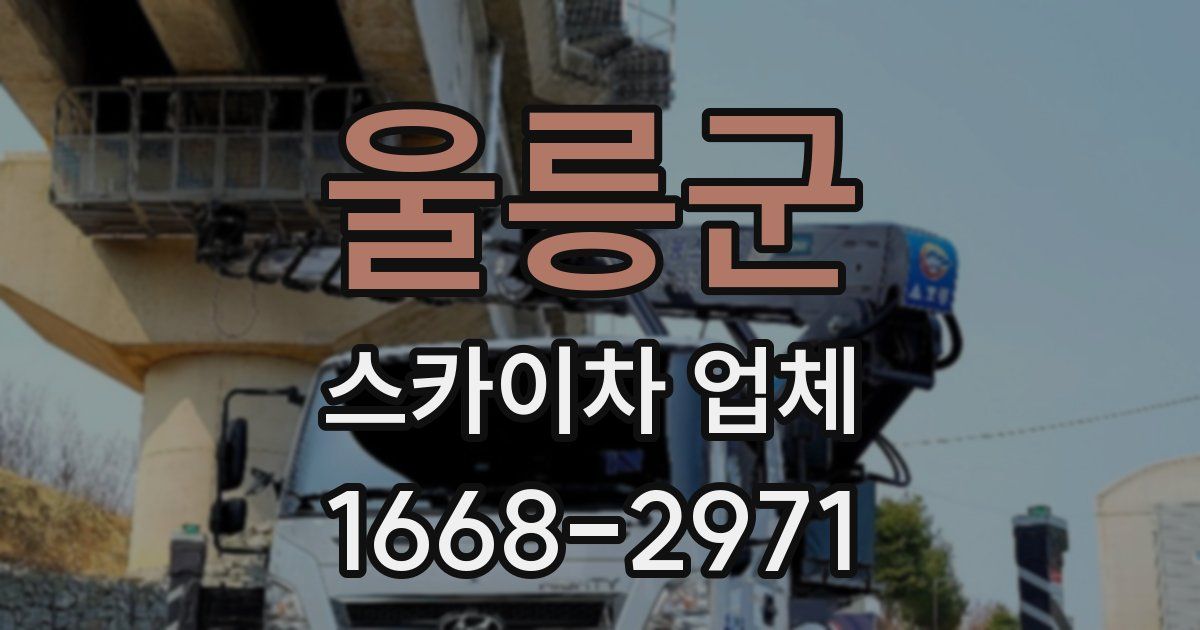 울릉군 스카이차 업체