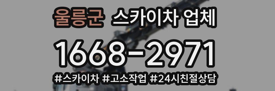 울릉군 스카이차 업체
