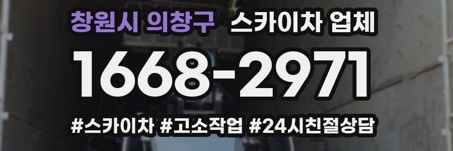 창원시 의창구 스카이차 업체