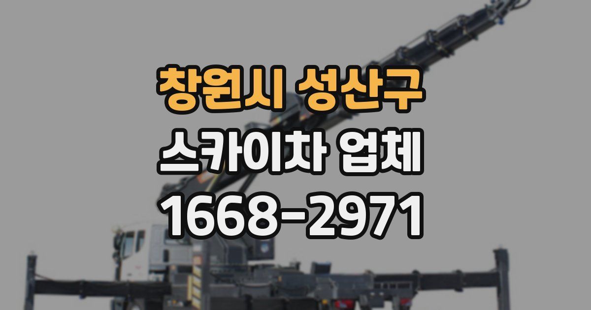 창원시 성산구 스카이차 업체