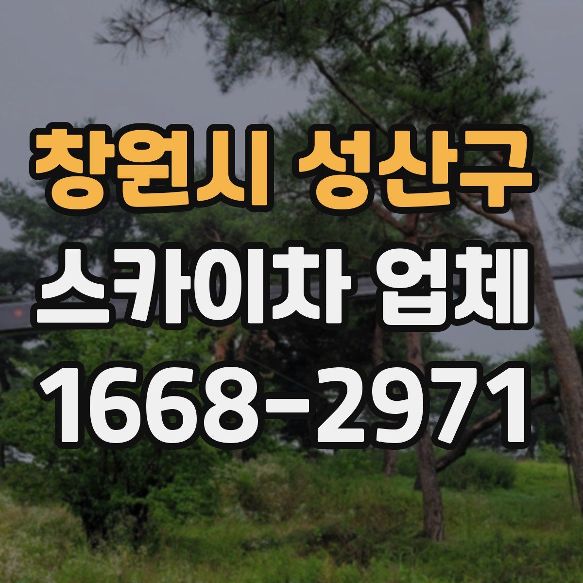 창원시 성산구 스카이차 업체