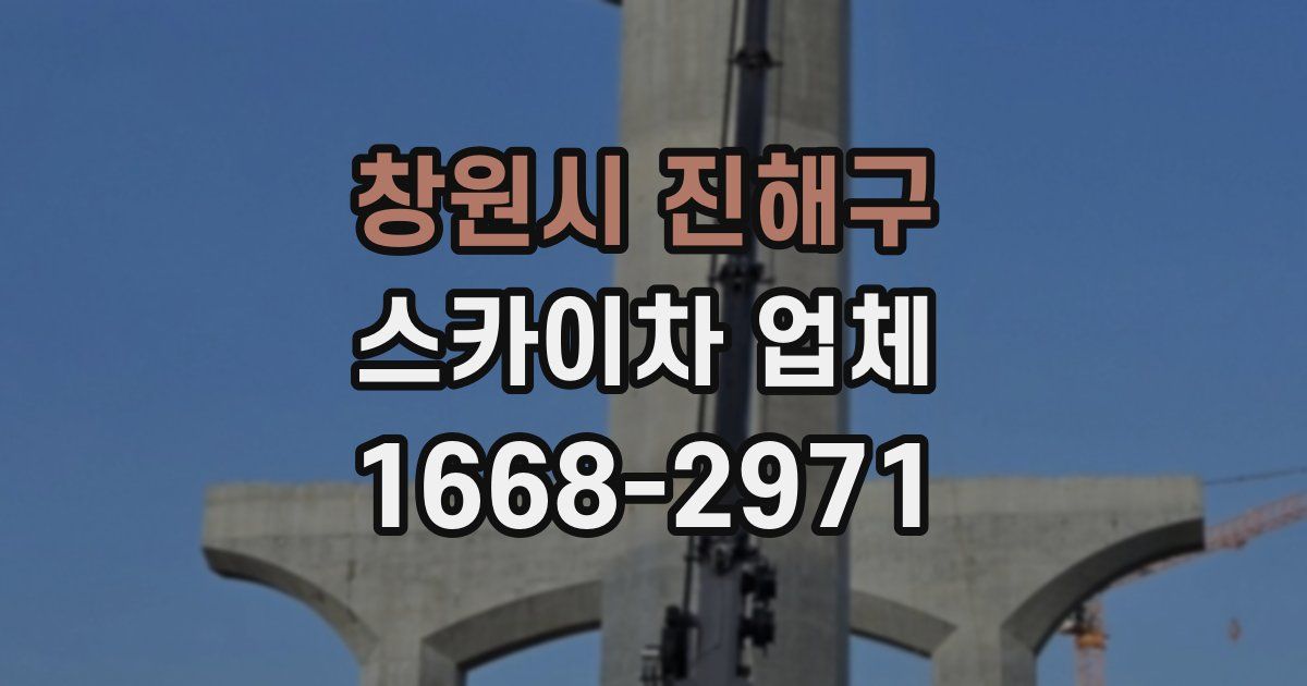 창원시 진해구 스카이차 업체