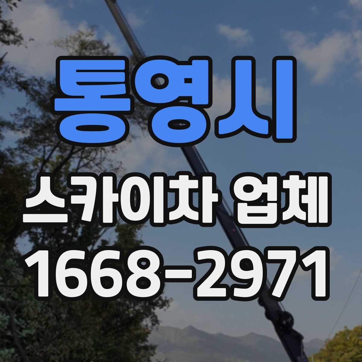 통영시 스카이차 업체
