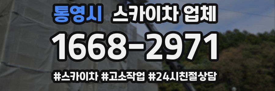 통영시 스카이차 업체