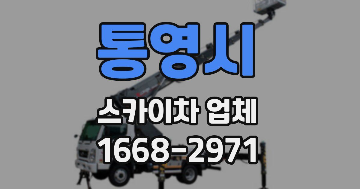 통영시 스카이차 업체