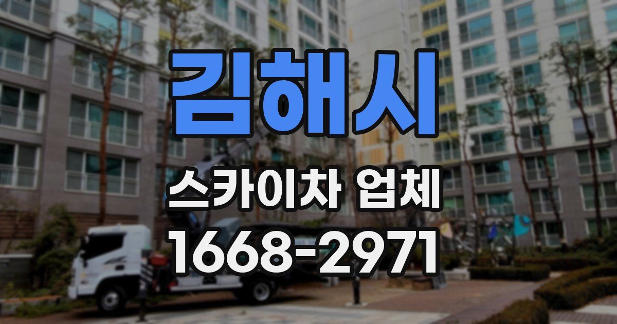 김해시 스카이차 업체