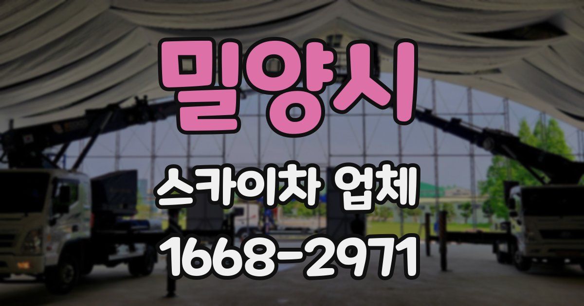 밀양시 스카이차 업체