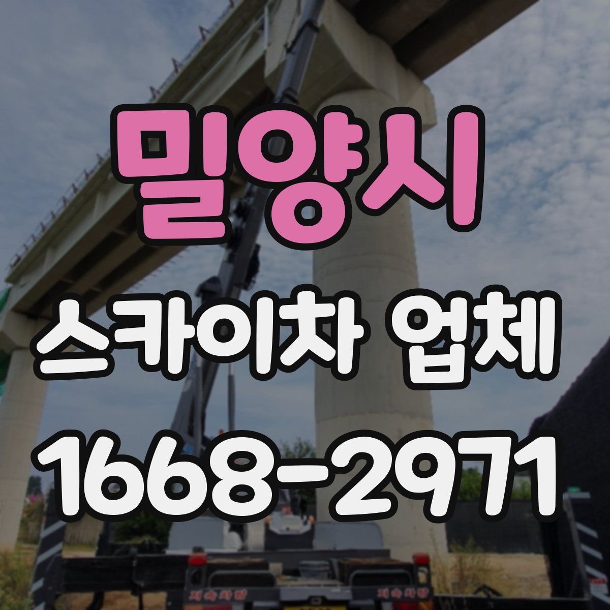 밀양시 스카이차 업체