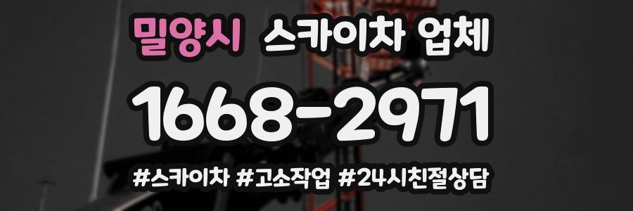 밀양시 스카이차 업체