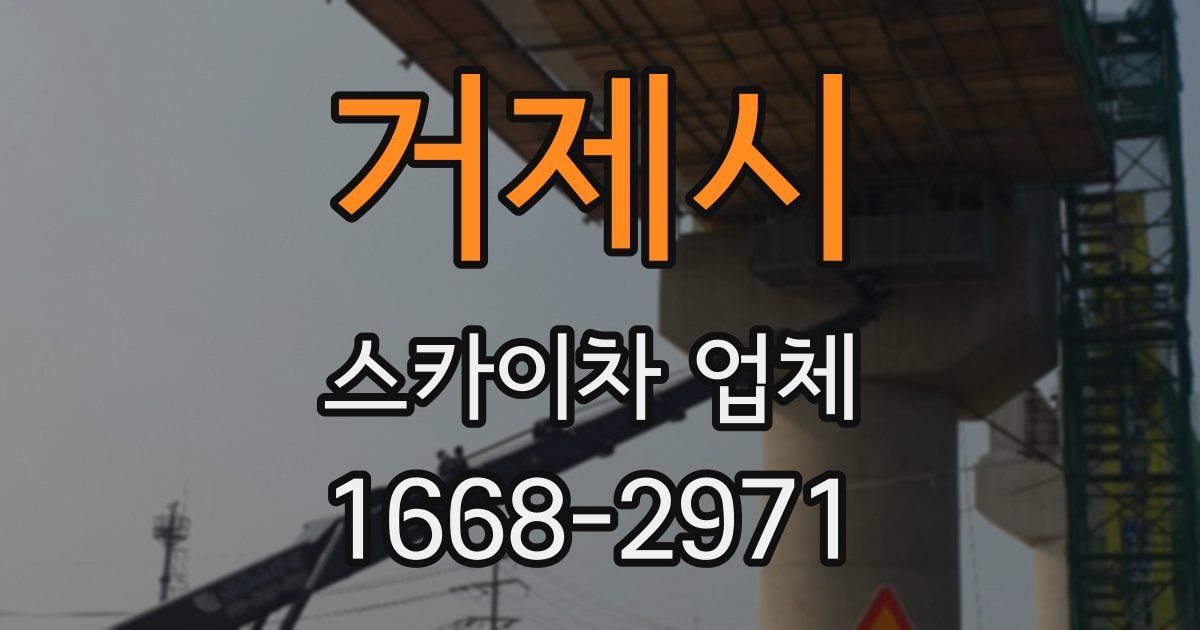거제시 스카이차 업체