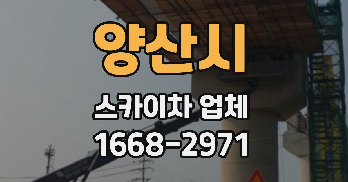 양산시 스카이차 업체