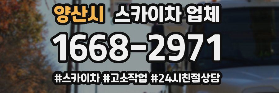 양산시 스카이차 업체