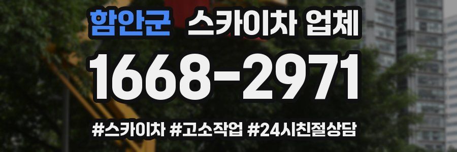 함안군 스카이차 업체