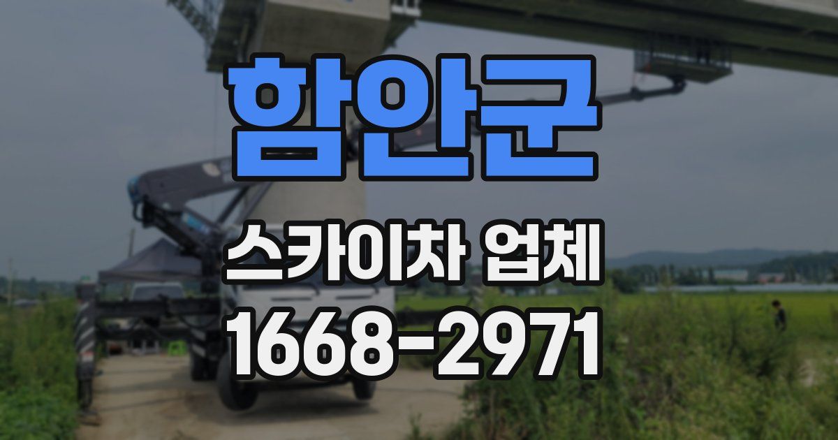 함안군 스카이차 업체