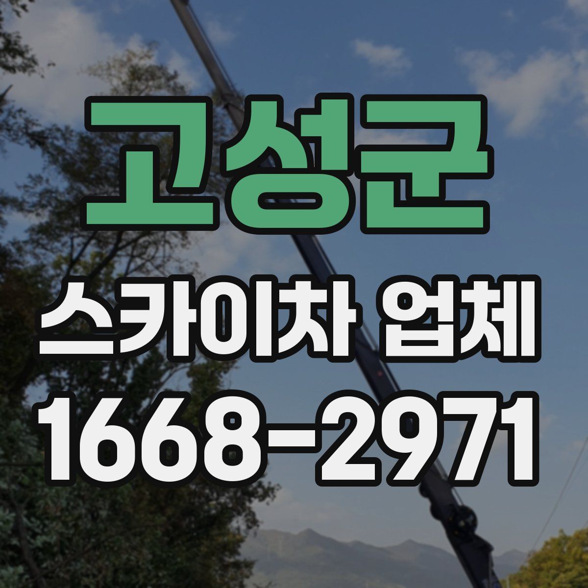 고성군 스카이차 업체