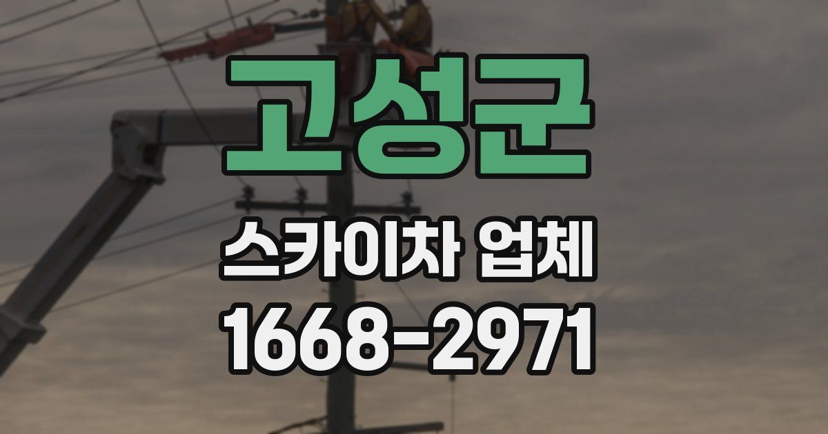 고성군 스카이차 업체