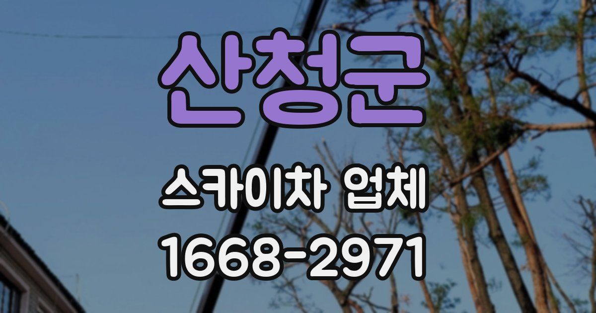산청군 스카이차 업체