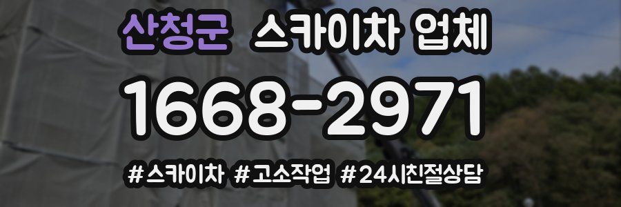 산청군 스카이차 업체