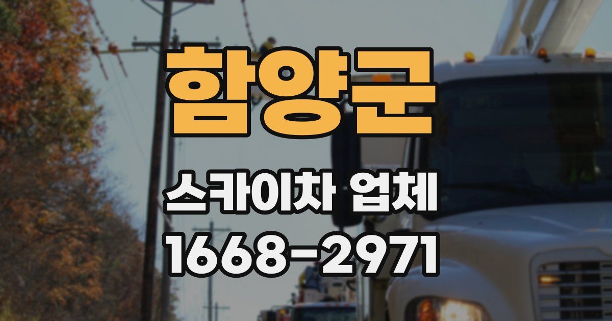 함양군 스카이차 업체