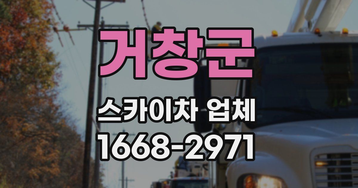 거창군 스카이차 업체