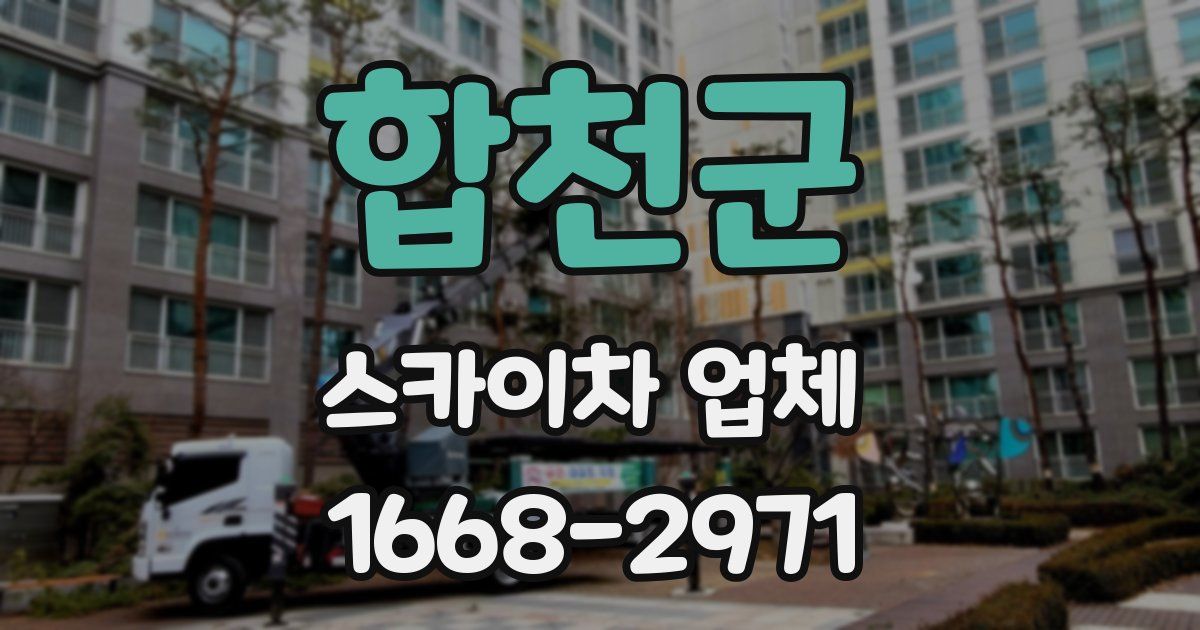 합천군 스카이차 업체