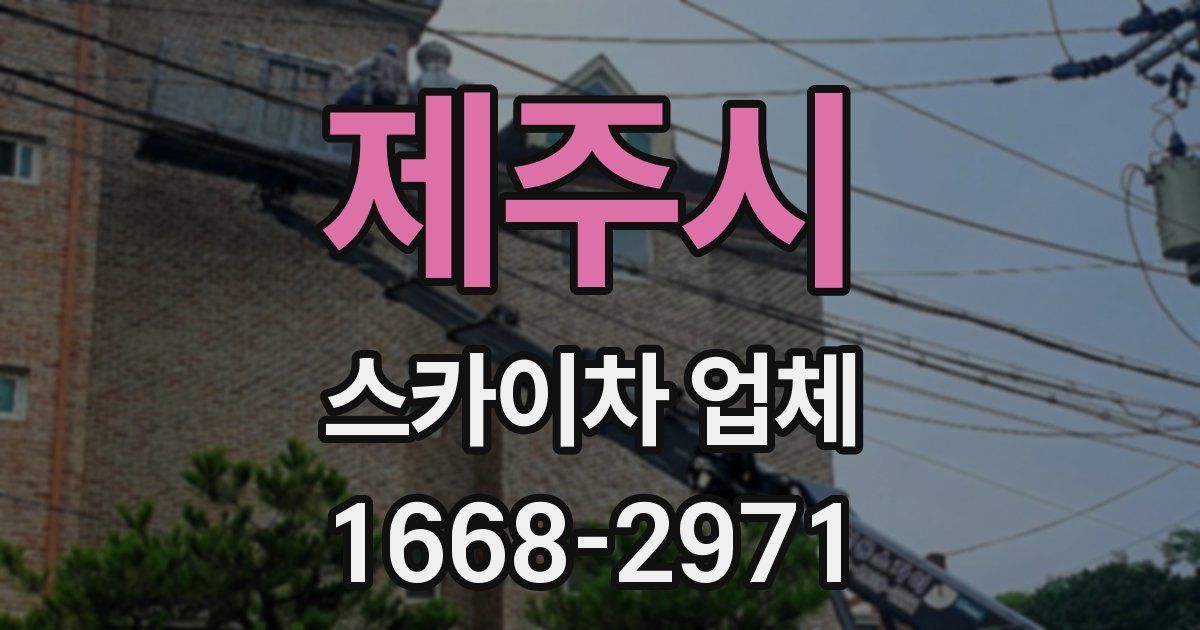 제주시 스카이차 업체