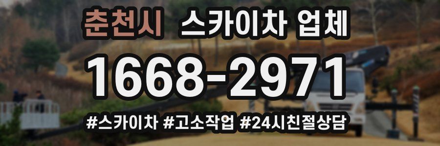춘천시 스카이차 업체