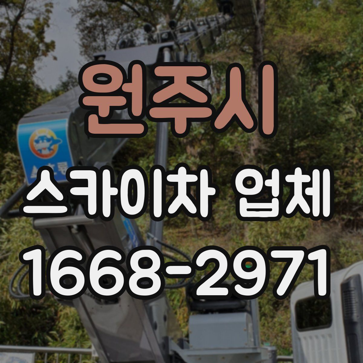 원주시 스카이차 업체