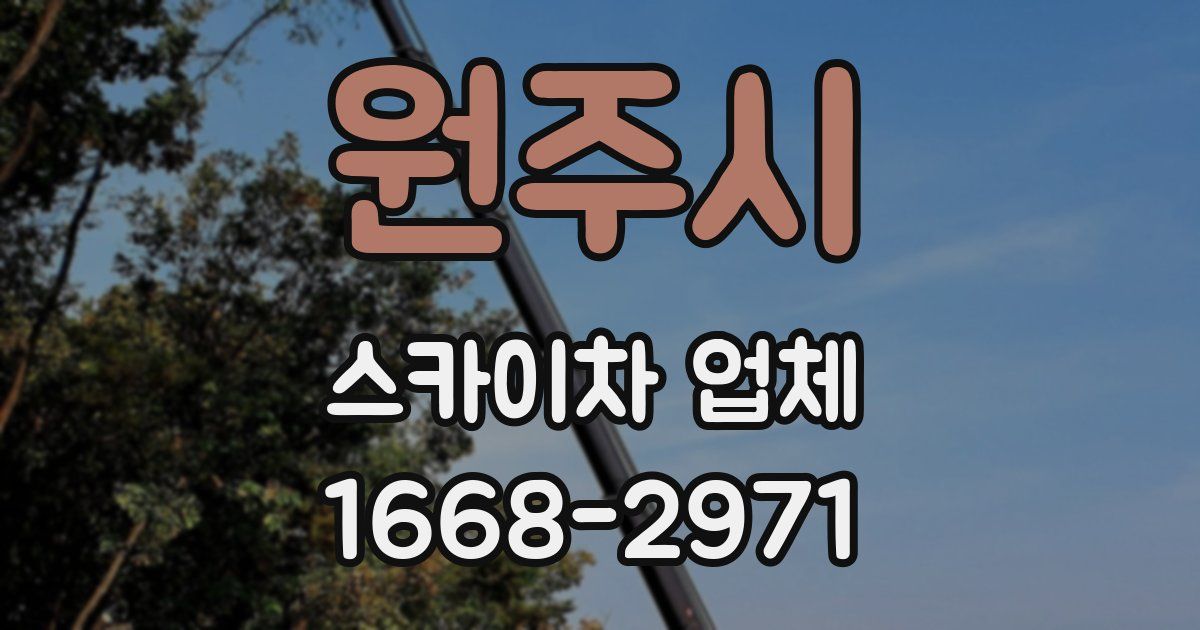 원주시 스카이차 업체