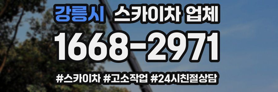 강릉시 스카이차 업체