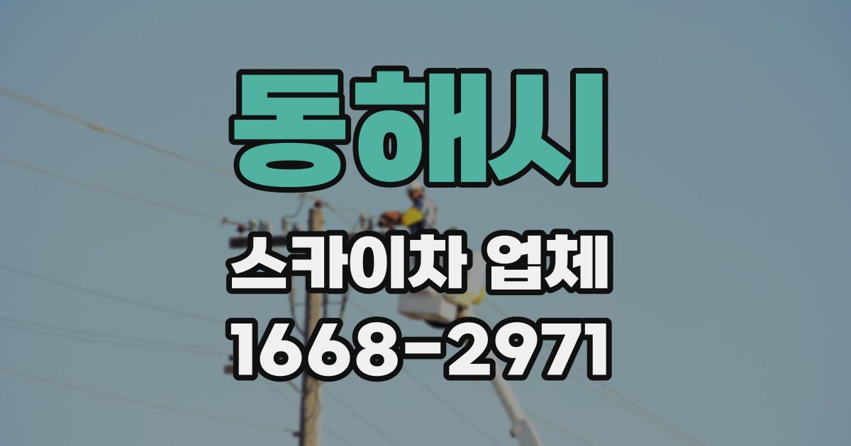 동해시 스카이차 업체