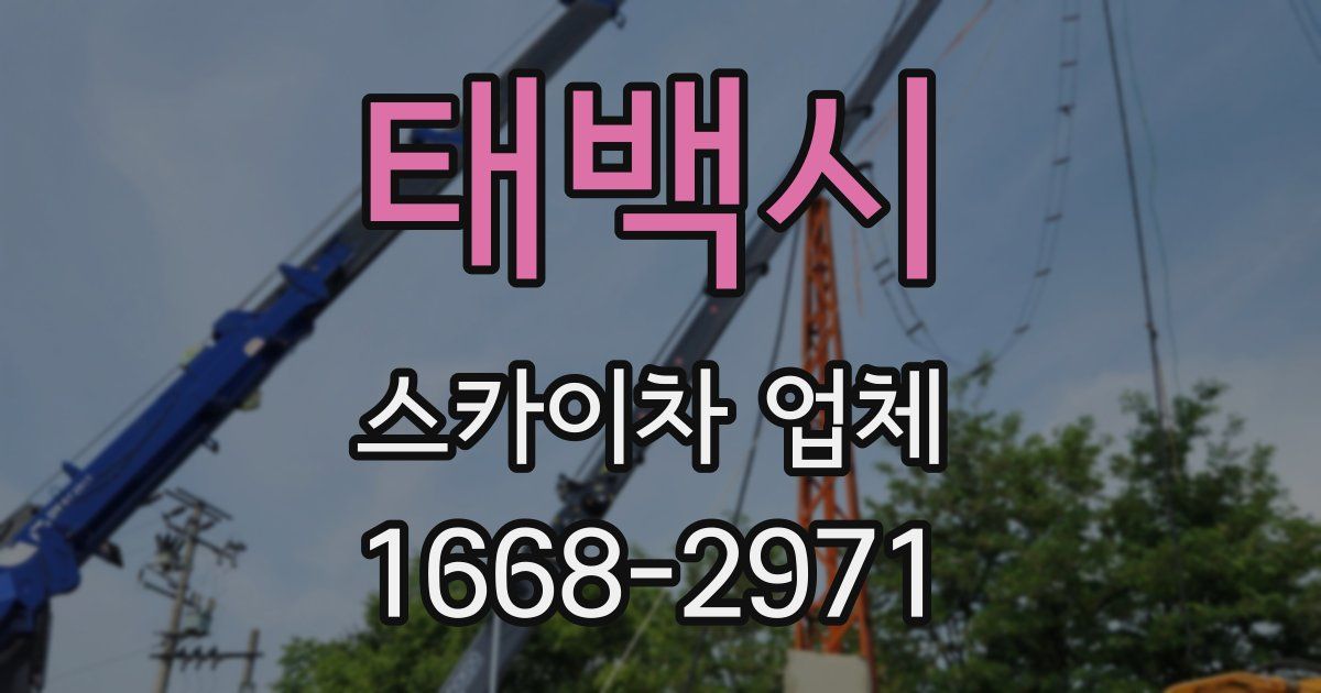 태백시 스카이차 업체