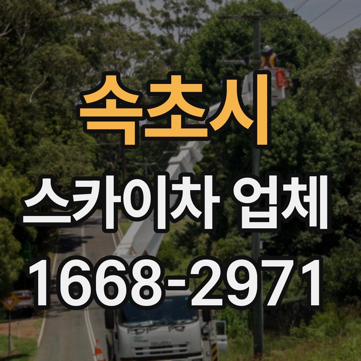 속초시 스카이차 업체