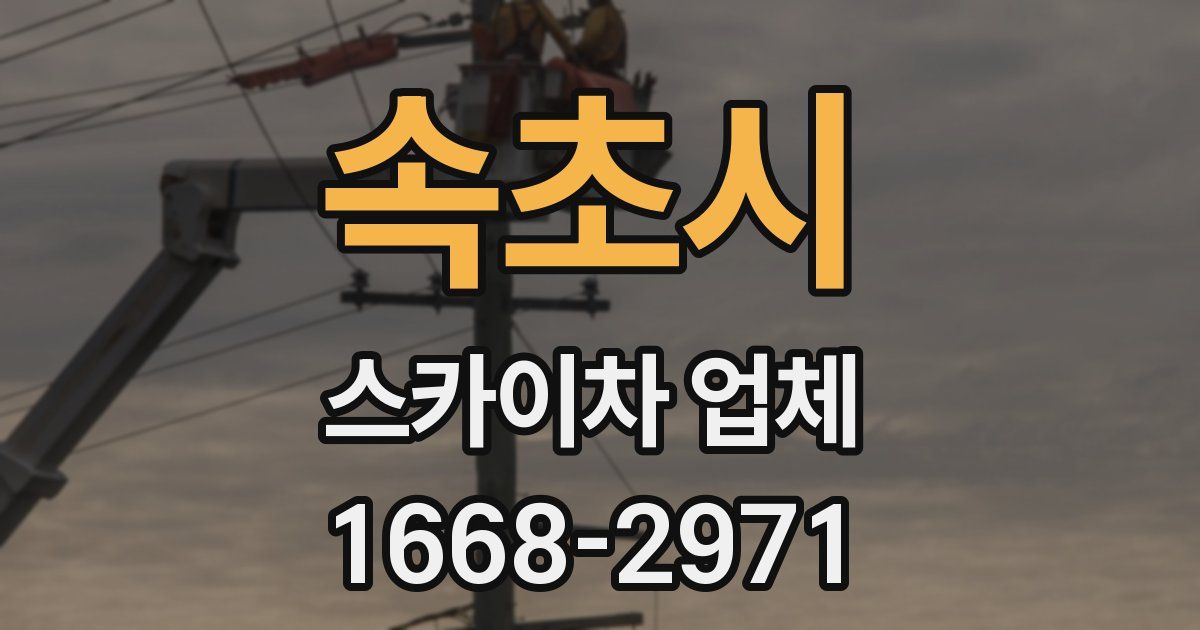 속초시 스카이차 업체