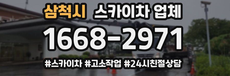 삼척시 스카이차 업체