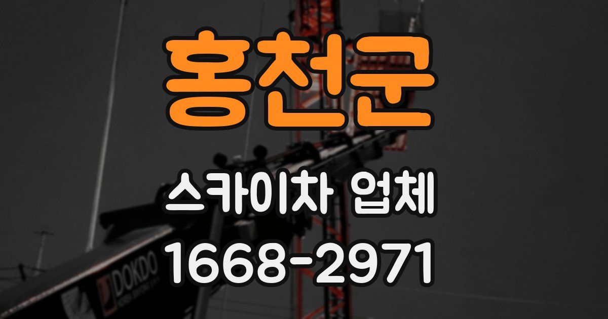 홍천군 스카이차 업체