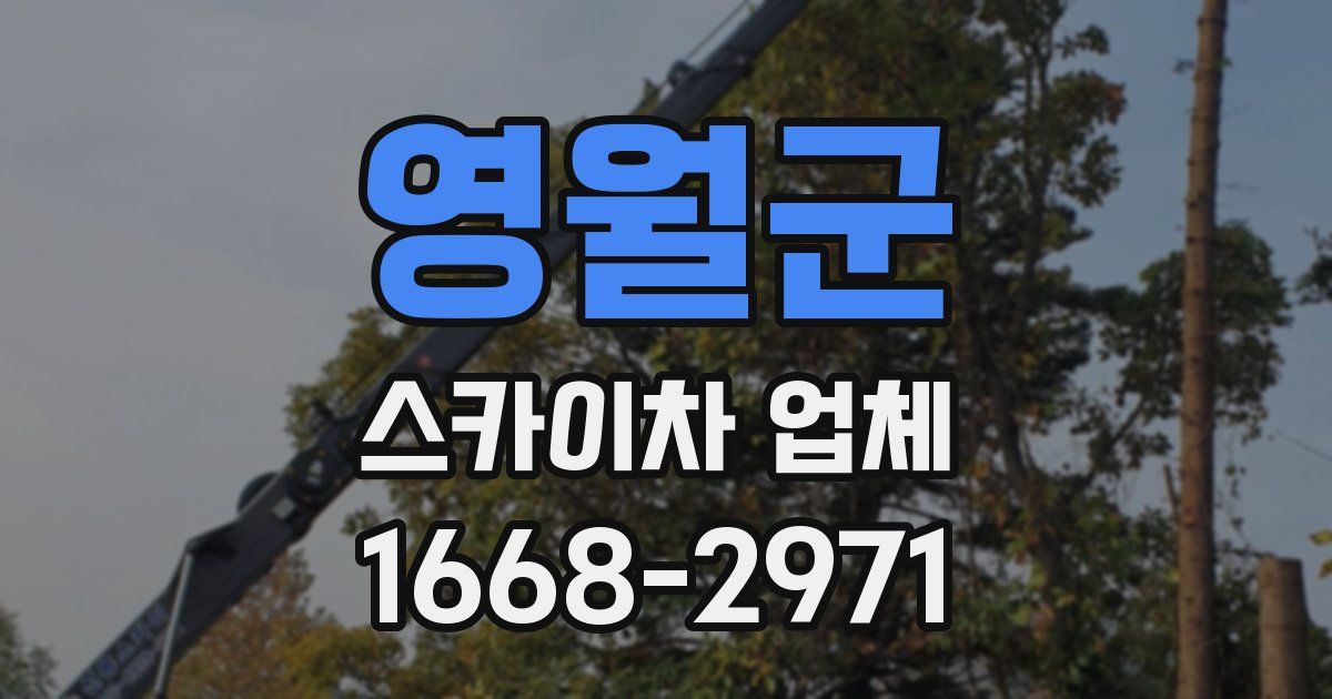 영월군 스카이차 업체