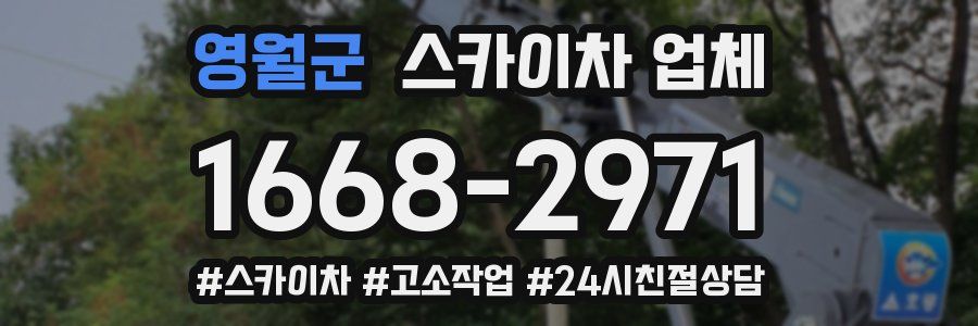 영월군 스카이차 업체