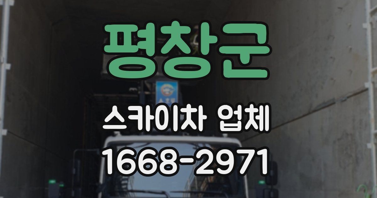 평창군 스카이차 업체
