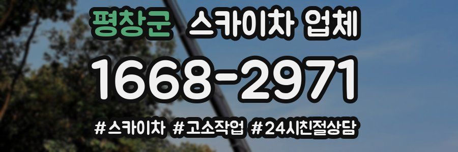 평창군 스카이차 업체