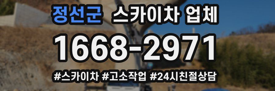 정선군 스카이차 업체