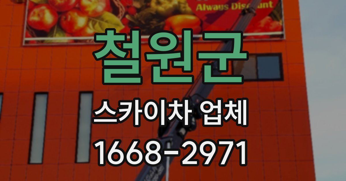 철원군 스카이차 업체