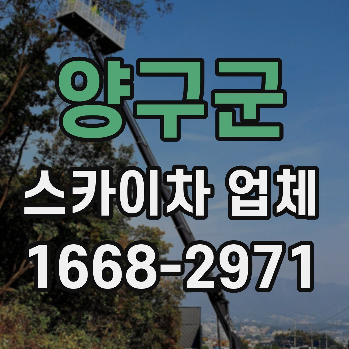 양구군 스카이차 업체