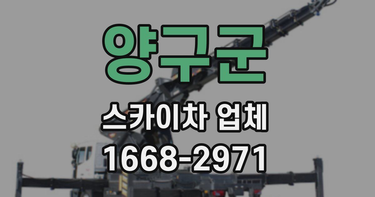 양구군 스카이차 업체
