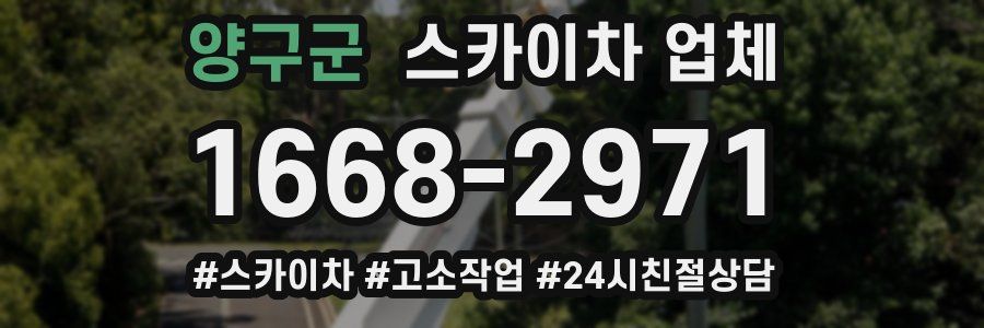 양구군 스카이차 업체