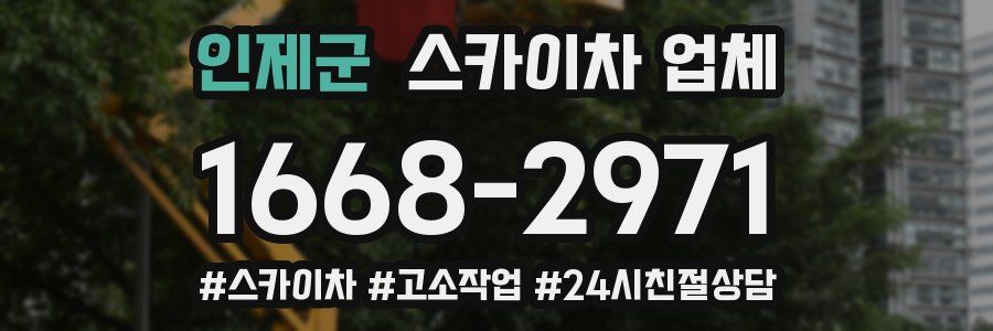 인제군 스카이차 업체
