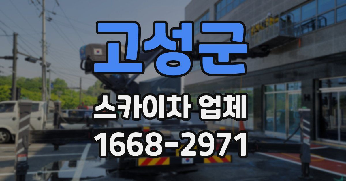 고성군 스카이차 업체